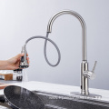 Brush Nickel Chrome Flexible Kitchen Faucet